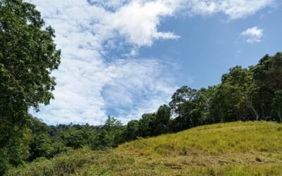 Sinergi di Jantung Kalimantan: Cerita dibalik Patroli dan Penjagaan Kawasan di Wilayah Hulu Bahau
