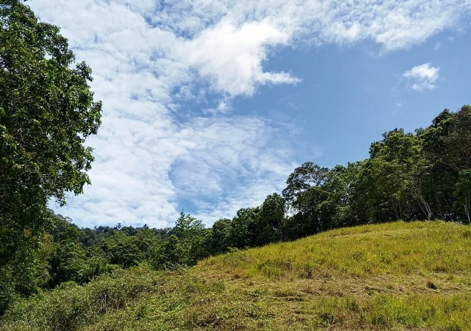 Sinergi di Jantung Kalimantan: Cerita dibalik Patroli dan Penjagaan Kawasan di Wilayah Hulu Bahau