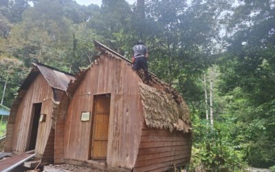 Patroli Penjagaan Lalut Birai: Perkuat Perlindungan Kawasan Hutan