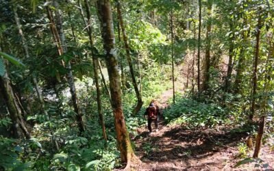 Patroli Rian Tubu: Menjaga Rimba, Menyusuri Kehidupan Alam