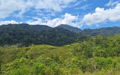 Menjaga Savana, Merawat Rumah Sang Penjaga