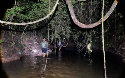 Inventarisasi Herpetofauna di Sungai Tua, Tim Patroli Temukan Beragam Jenis Amfibi